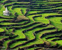 黃土水平梯田圖冊