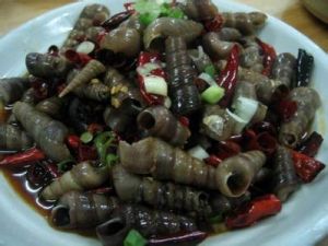 寬穴擬釘螺 寬穴擬釘螺