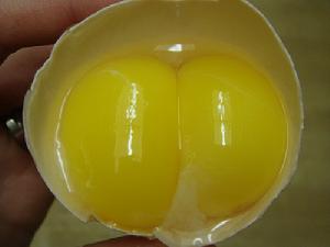 （圖）雙黃蛋