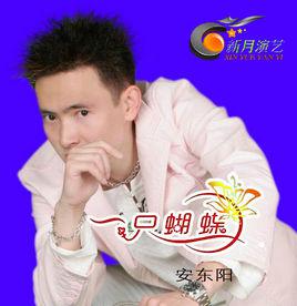 一隻蝴蝶[安東陽演唱歌曲]