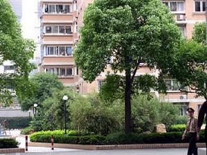 東海園一期 東海園一期
