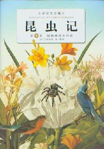 圓網蛛的電線報 圓網蛛的電線報