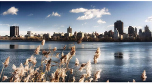 城市之中也有這樣一片與鋼鐵森林不同的場所。