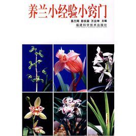 養蘭小經驗小竅門 養蘭小經驗小竅門