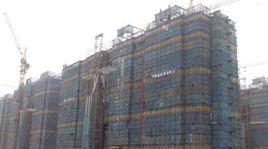 大李家街道 大李家街道