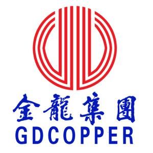 金龍集團 金龍集團