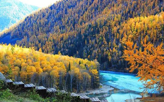 10月最美4條自駕線路,走過一條就不白過秋天!