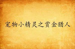 寵物小精靈之賞金獵人 寵物小精靈之賞金獵人