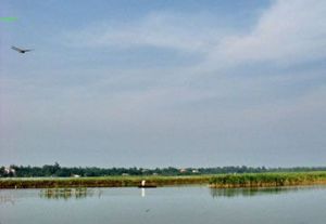 安徽省淮南市十澗湖國家城市濕地公園