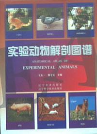 實驗動物解剖圖譜 實驗動物解剖圖譜