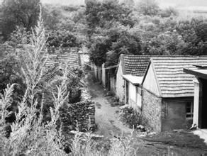 肖家夼村 肖家夼村