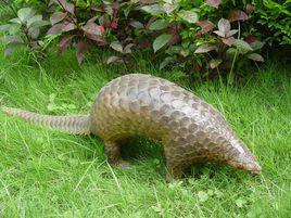 國家二級保護動物