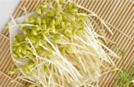 無根芽苗菜 無根芽苗菜