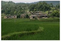 鴨塘寨自然村 鴨塘寨自然村