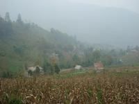 春天自然村 春天自然村