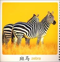 我的第一本早教塑膠書&middot;成長啟蒙童話