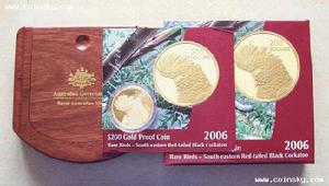 紅尾黑巴丹鸚鵡