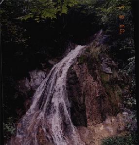 鬼谷嶺國家森林公園