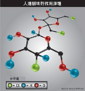 （圖）人造甜味劑原理