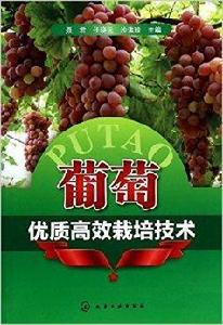 葡萄優質高效栽培技術 葡萄優質高效栽培技術