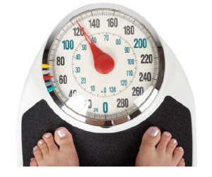 假期胖子 假期胖子