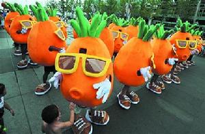 蘿蔔哥[個性求婚者]