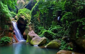 旅遊護照一本通 旅遊護照一本通