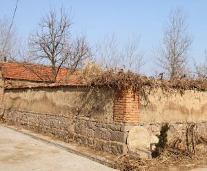 大樓子村 大樓子村