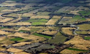 土壤資源 土壤資源