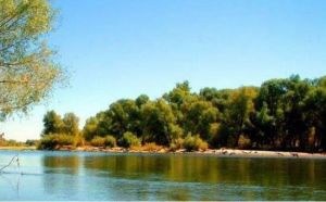 185團白沙湖邊境景區 185團白沙湖邊境景區