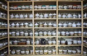 利馬大腦博物館