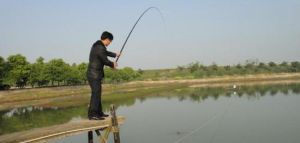 水之靈自然龜鱉養殖家庭農場