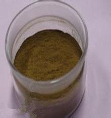 荊芥內酯 荊芥內酯