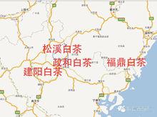 銀針[白毫茶名]