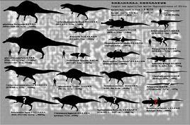 非洲巨蟒 非洲巨蟒