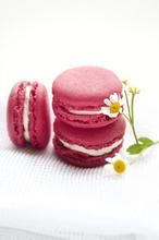 去巴黎烤個馬卡龍 去巴黎烤個馬卡龍