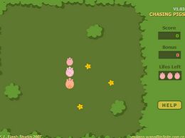 訓豬高手 訓豬高手