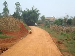 （圖）文山縣紅甸回族鄉紅甸村委會小耳朵