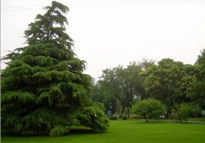 北京市萬壽公園