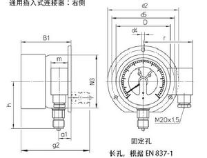 SF6氣體密度控制器底癌連線後置安裝法蘭