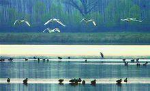 玫瑰湖濕地公園