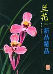 蘭花新品精品 蘭花新品精品