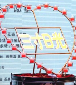 三寸日光[2016年鄒東孝執導公益電影]