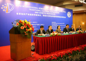 世界智慧財產權組織傳統知識、傳統文化表達和遺傳資源地區間研討會
