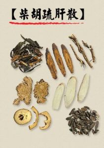 柴胡疏肝散 柴胡疏肝散