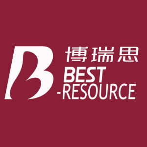 深圳市博瑞思諮詢服務有限公司 深圳市博瑞思諮詢服務有限公司