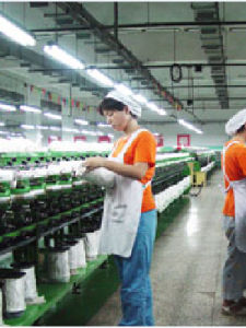 南京化纖股份有限公司 南京化纖股份有限公司