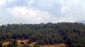 忙舊自然村 忙舊自然村