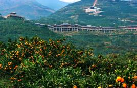 劉家營村[雲南省玉溪市易門縣龍泉鎮蔡營村劉家營村]