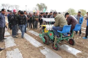 台吉營鄉 台吉營鄉